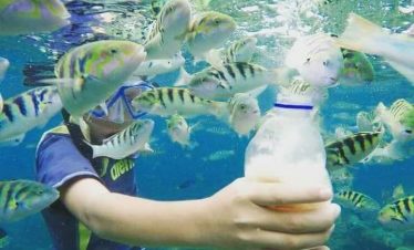 Blue Lagoon Snorkeling