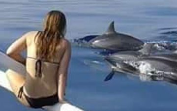 Bali Dolphins Tour