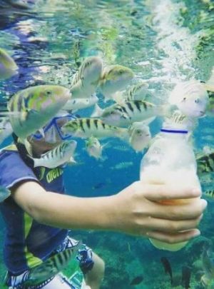 Blue Lagoon Snorkeling